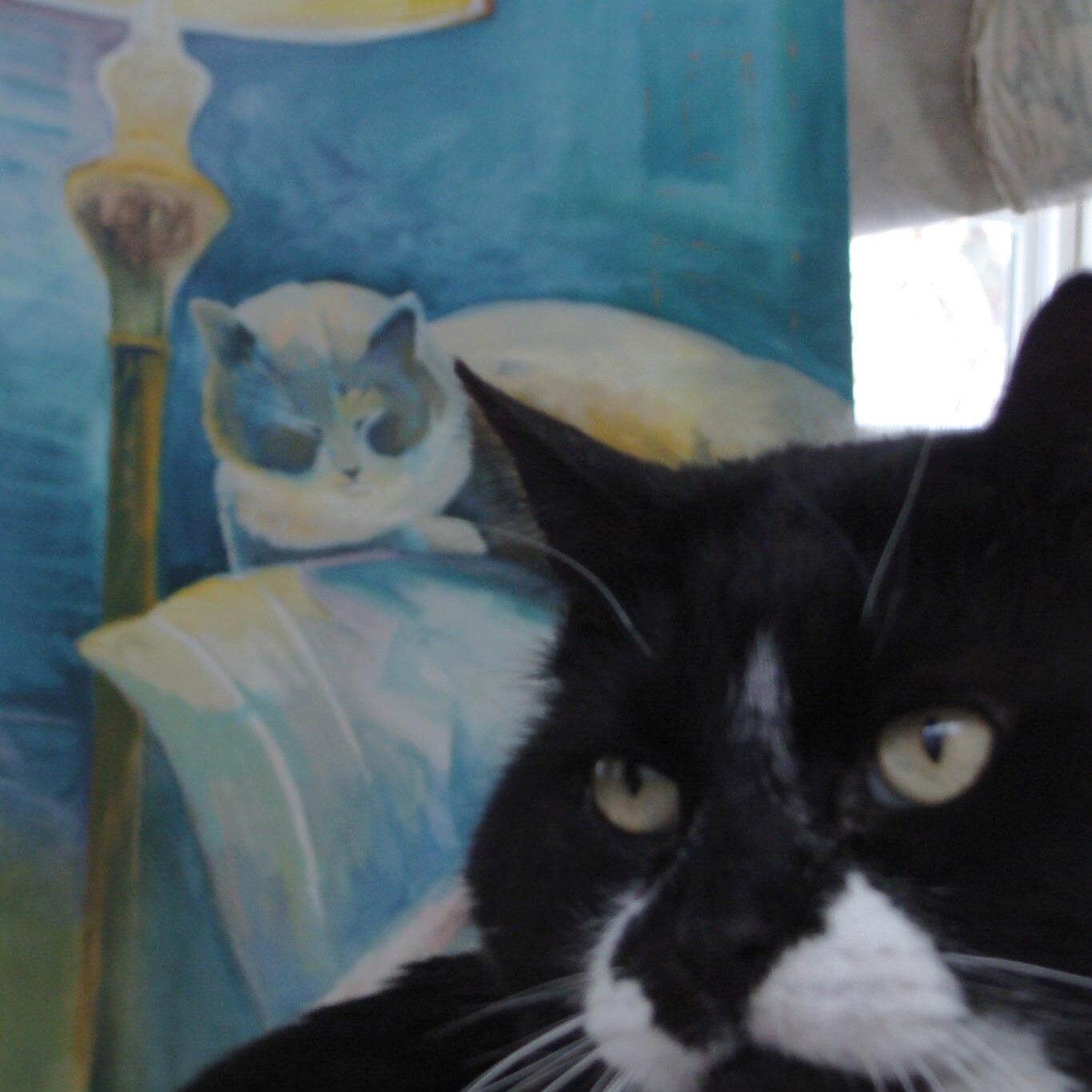 Portrait of a Cat as Observed by Boris
