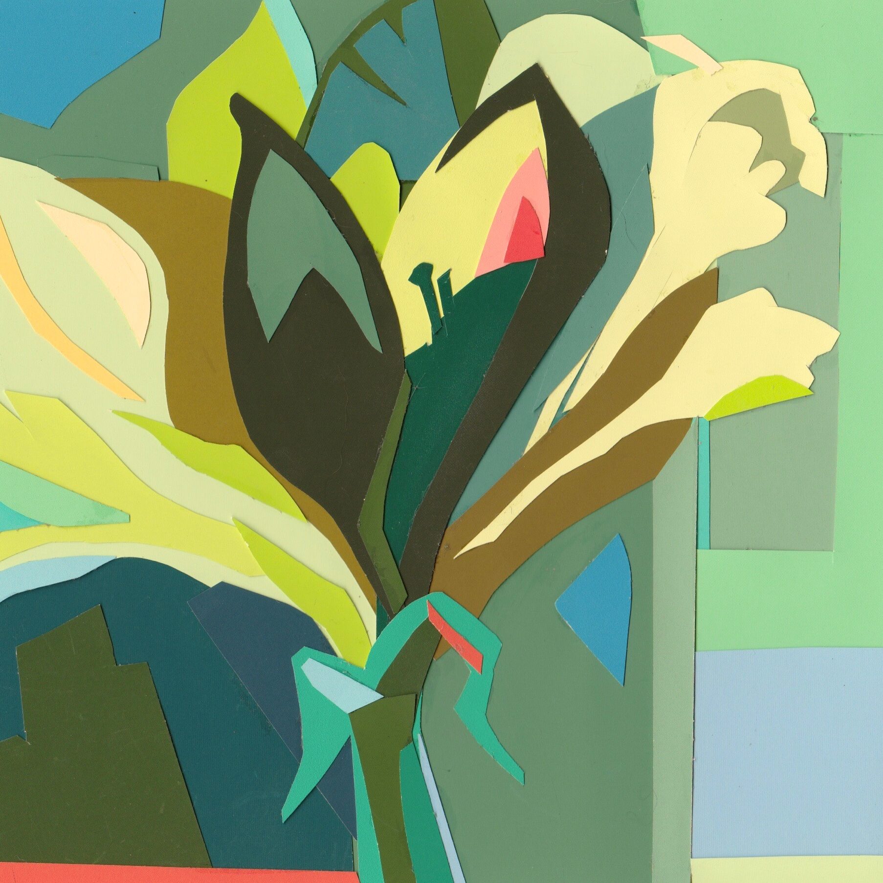 green amaryllis